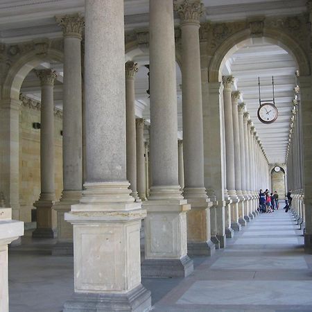 Villa Rosa Karlovy Vary Dış mekan fotoğraf